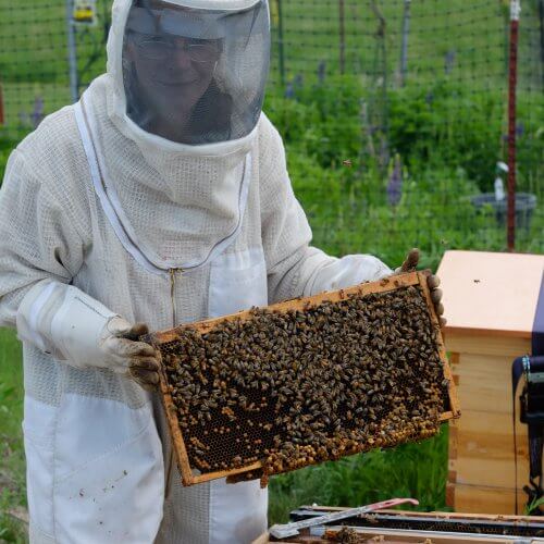 Did you know Dr Tish is a beekeeper?